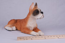 Fawn & White Coat Boxer with Ears Up Figurine Extra Large Pet Urn