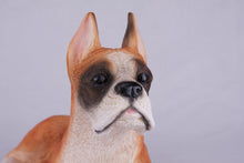 Fawn & White Coat Boxer with Ears Up Figurine Extra Large Pet Urn