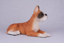 Fawn & White Coat Boxer with Ears Up Figurine Extra Large Pet Urn