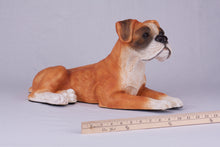 Fawn & White Coat Boxer with Ears Down Figurine Extra Large Pet Urn