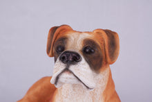 Fawn & White Coat Boxer with Ears Down Figurine Extra Large Pet Urn