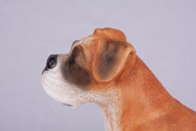 Fawn & White Coat Boxer with Ears Down Figurine Extra Large Pet Urn