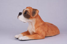 Fawn & White Coat Boxer with Ears Down Figurine Extra Large Pet Urn