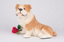 Red & White Coat English Bulldog Figurine Extra Large Pet Urn