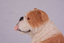 Red & White Coat English Bulldog Figurine Extra Large Pet Urn