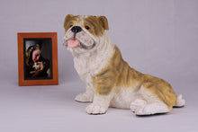 Fawn & White Coat English Bulldog Figurine Extra Large Pet Urn