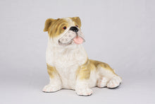 Fawn & White Coat English Bulldog Figurine Extra Large Pet Urn