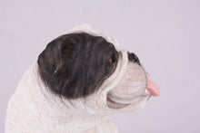 White with Black Mask English Bulldog Figurine Extra Large Pet Urn