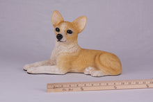 Fawn & White Chihuahua Figurine Extra Large Pet Urn
