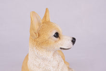 Fawn & White Chihuahua Figurine Extra Large Pet Urn