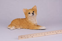 Fawn & White Long Coat Chihuahua Figurine Extra Large Pet Urn