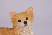 Fawn & White Long Coat Chihuahua Figurine Extra Large Pet Urn