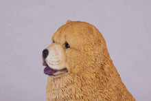 Golden Red Tan Chow Chow Figurine Extra Large Pet Urn