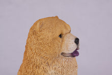 Golden Red Tan Chow Chow Figurine Extra Large Pet Urn