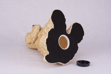 Light Golden Buff American Cocker Spaniel Figurine Extra Large Pet Urn - Bottom