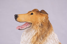 Golden & White with Darker Shades Collie Figurine Extra Large Pet Urn