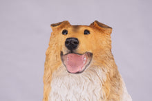 Golden & White with Darker Shades Collie Figurine Extra Large Pet Urn