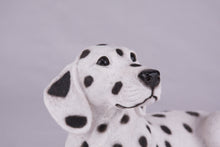 White Coat with Black Spots Dalmatian Figurine Extra Large Pet Urn