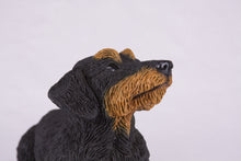 Black & Tan Coat Wire-Haired Dachshund Figurine Extra Large Pet Urn