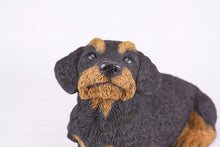 Black & Tan Coat Wire-Haired Dachshund Figurine Extra Large Pet Urn