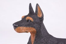 Black & Tan Coat Doberman Pinscher with Ears Up Figurine Extra Large Pet Urn