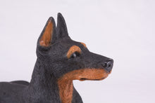 Black & Tan Coat Doberman Pinscher with Ears Up Figurine Extra Large Pet Urn