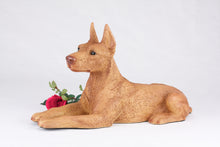 Red Coat Doberman Pinscher with Ears Up Figurine Extra Large Pet Urn