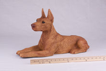 Red Coat Doberman Pinscher with Ears Up Figurine Extra Large Pet Urn
