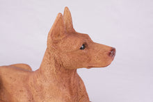 Red Coat Doberman Pinscher with Ears Up Figurine Extra Large Pet Urn