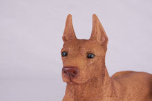 Red Coat Doberman Pinscher with Ears Up Figurine Extra Large Pet Urn