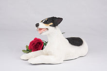 Tri-Color White, Black & Tan Jack Russell Terrier Figurine Large Pet Urn