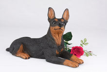 Black & Tan Miniature Pinscher with Ears Up Figurine Extra Large Pet Urn