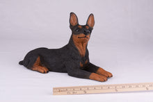 Black & Tan Miniature Pinscher with Ears Up Figurine Extra Large Pet Urn