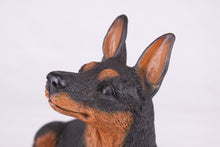 Black & Tan Miniature Pinscher with Ears Up Figurine Extra Large Pet Urn