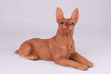 Red Miniature Pinscher with Ears Up Figurine Extra Large Pet Urn