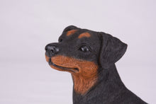 Black & Tan Miniature Pinscher with Ears Down Figurine Extra Large Pet Urn