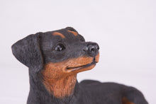Black & Tan Miniature Pinscher with Ears Down Figurine Extra Large Pet Urn