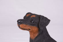Black & Tan Miniature Pinscher with Ears Down Figurine Extra Large Pet Urn