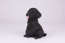 Black Miniature Poodle Resin Figurine Large Pet Urn