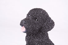 Black Miniature Poodle Resin Figurine Large Pet Urn