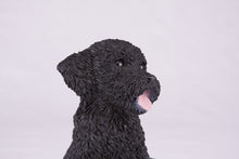 Black Miniature Poodle Resin Figurine Large Pet Urn