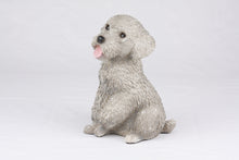 Gray Miniature Poodle Resin Figurine Large Pet Urn