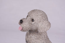 Gray Miniature Poodle Resin Figurine Large Pet Urn