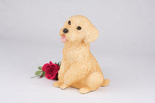 Apricot Miniature Poodle Resin Figurine Large Pet Urn