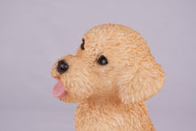 Apricot Miniature Poodle Resin Figurine Large Pet Urn