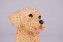 Apricot Miniature Poodle Resin Figurine Large Pet Urn
