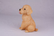 Apricot Miniature Poodle Resin Figurine Large Pet Urn
