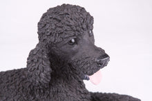Black Poodle Resin Figurine Extra Large Pet Urn