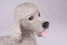 Gray Poodle Resin Figurine Extra Large Pet Urn