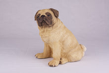 Fawn Pug Resin Figurine Extra Large Pet Urn